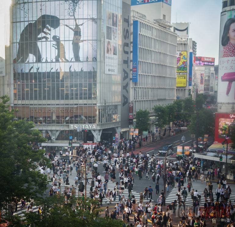 how to photograph shibuya crossing