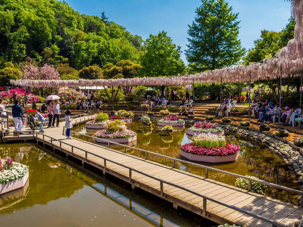 Ashikaga Flower Park