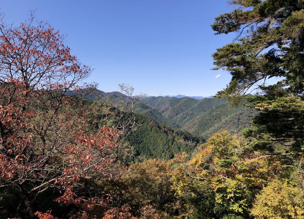 autumn leaves on mt takao