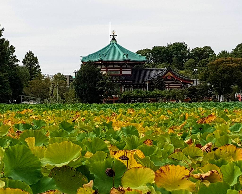 Bentendo in the center of Shinobazu Pond