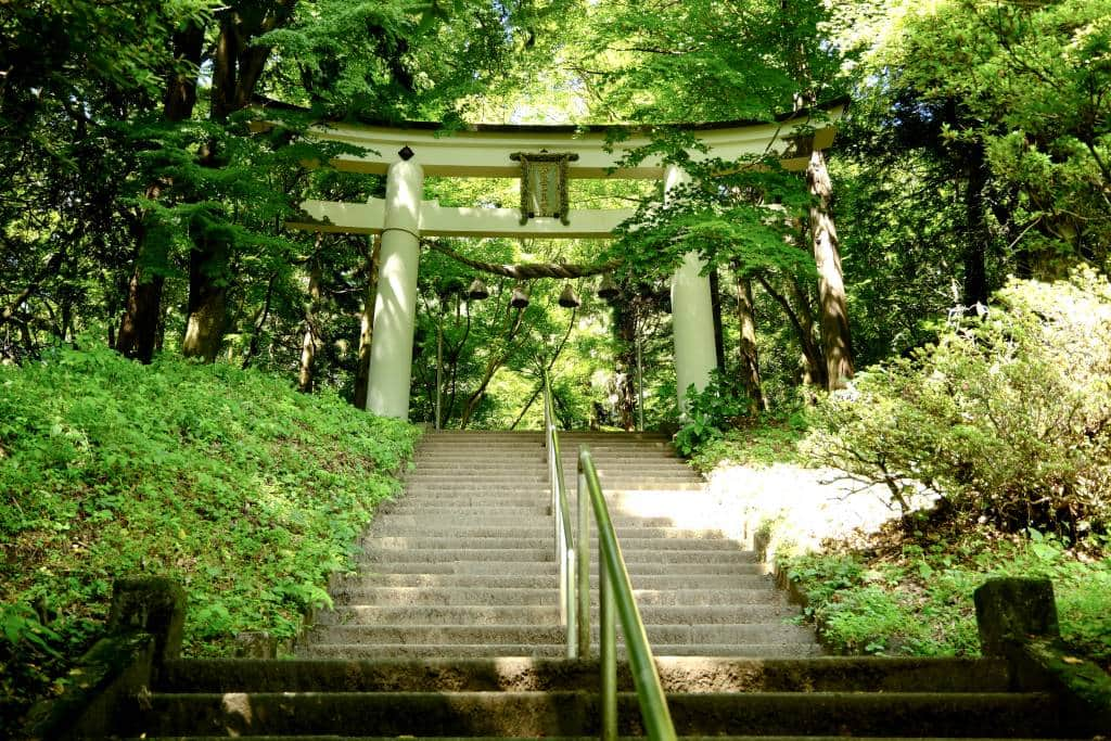 Okumiya white torii gate