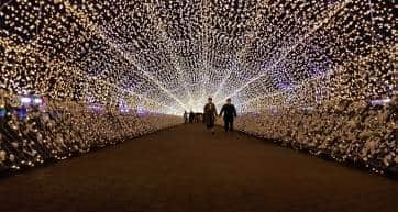 Edo Sakura Tunnel Oi Keibajo