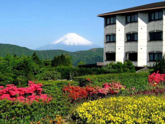 Hotel Green Plaza Hakone