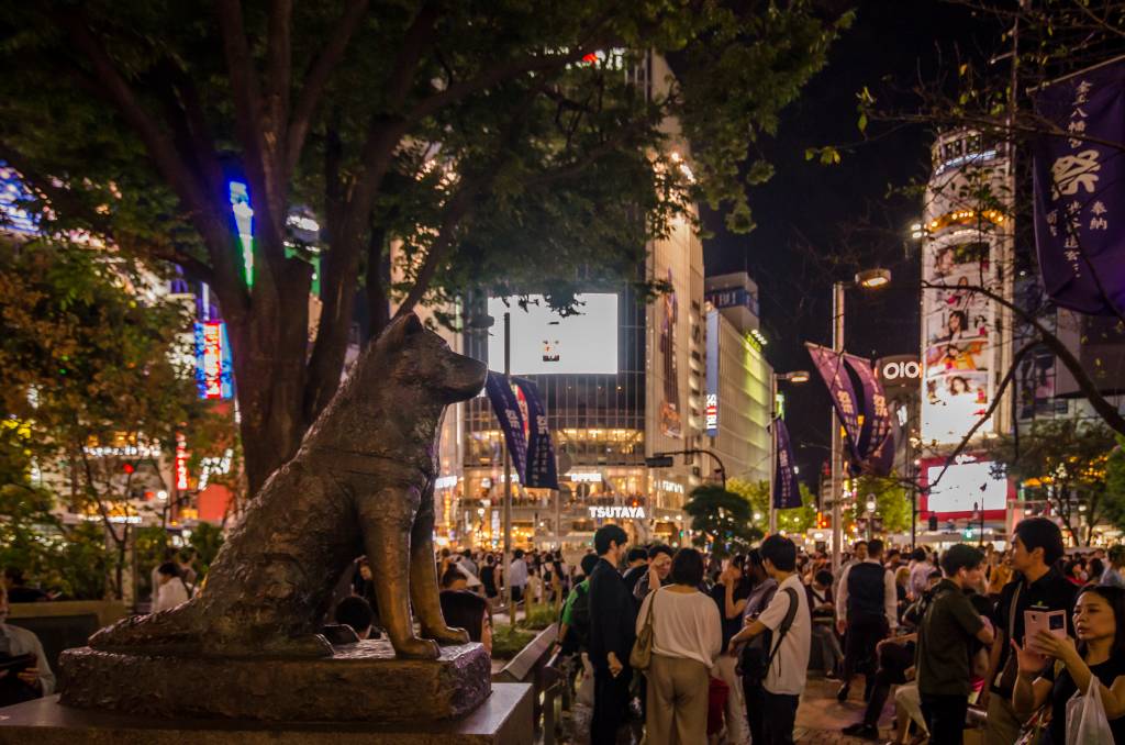 Hachiko at night