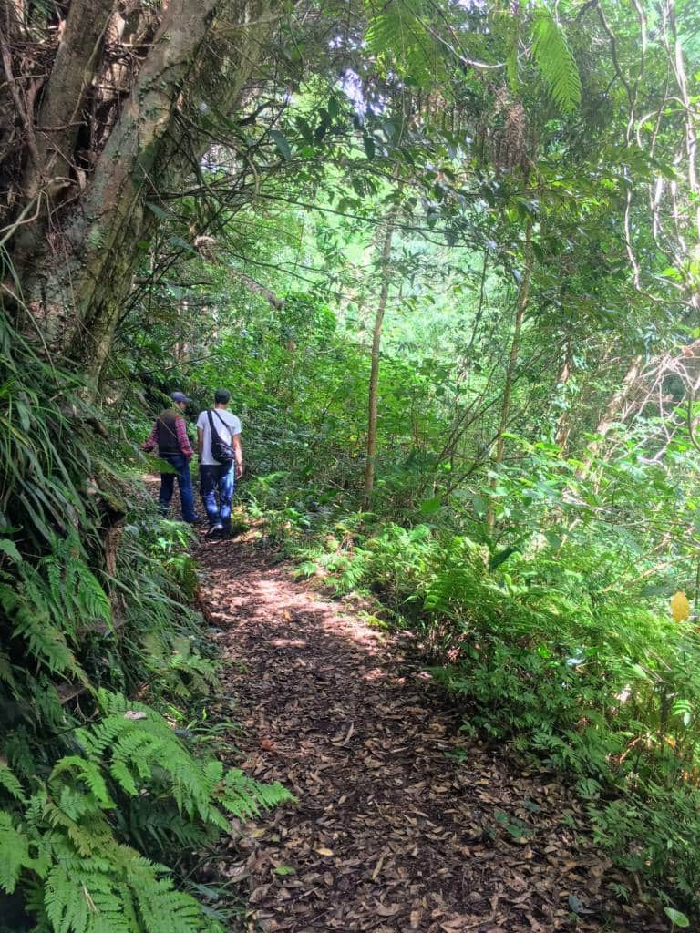 hachijojima hike