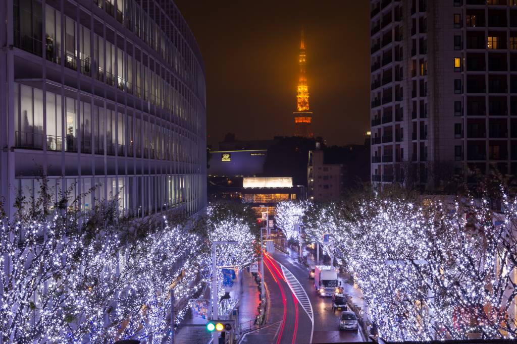 Winter illumination Roppongi Keyakizaka