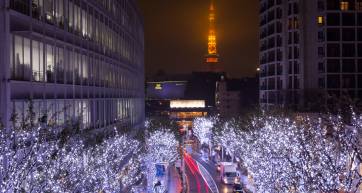 Winter illumination Roppongi Keyakizaka