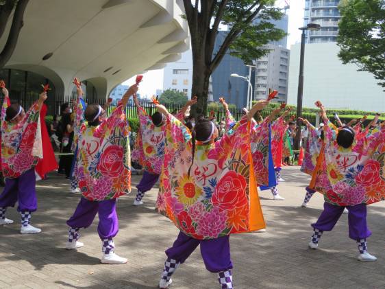 harajuku yosakoi