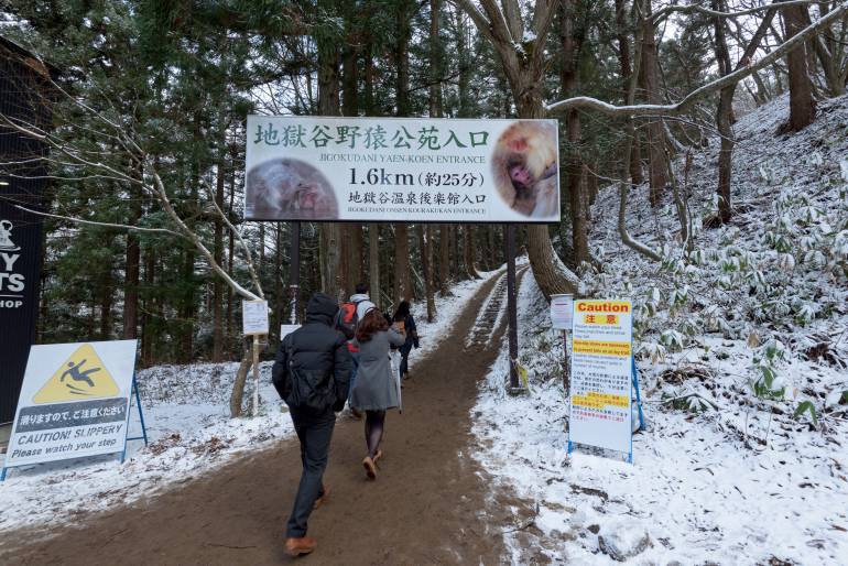 地獄谷雪猴公園的入口