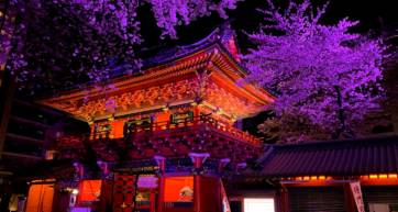 kanda myojin shrine