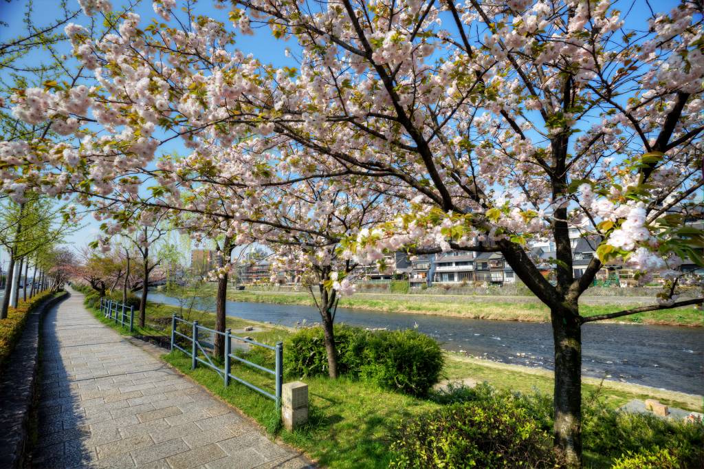 tokyo cycle routes