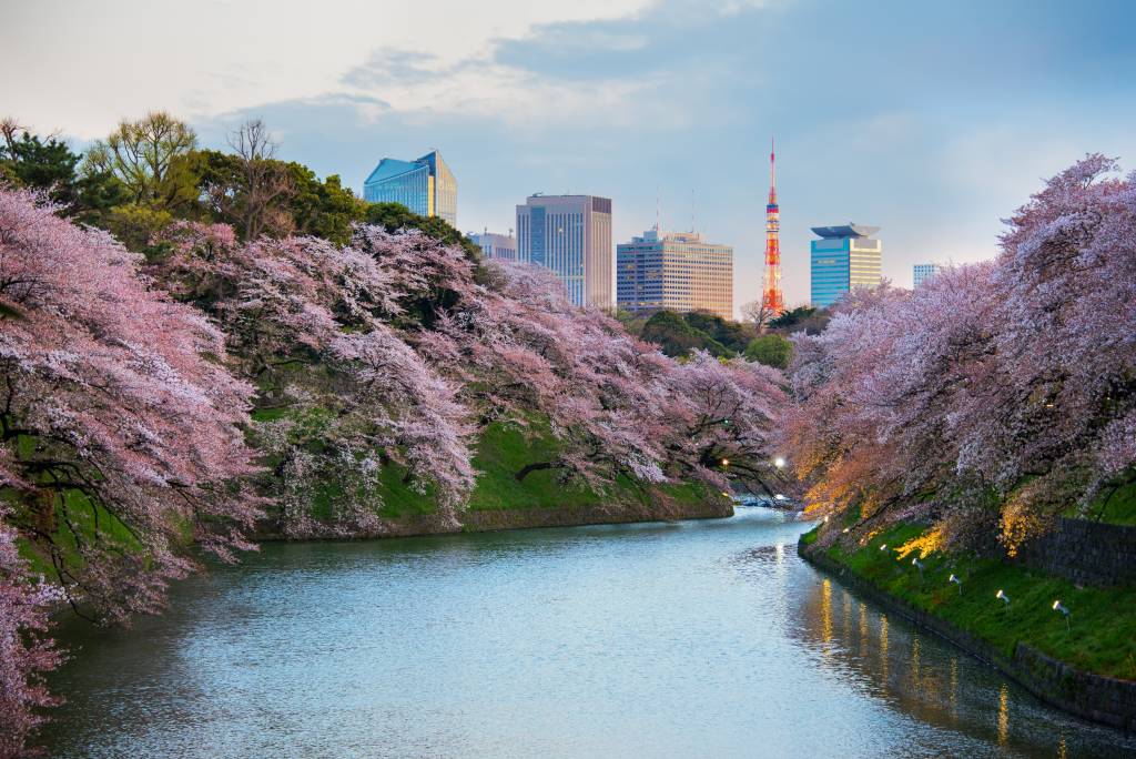 Kitanomaru Garden, Tokyo, Japan