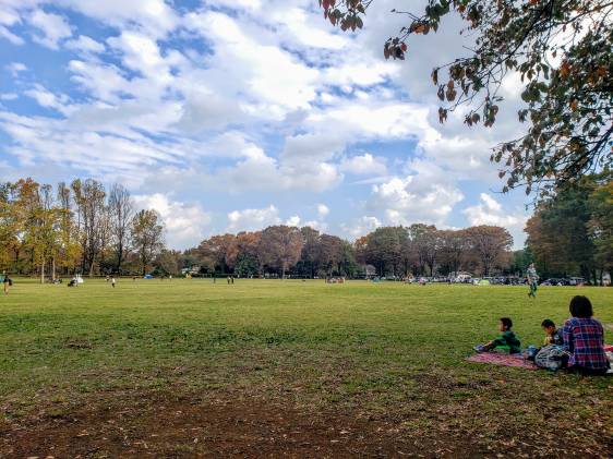 Koganei Park picnic