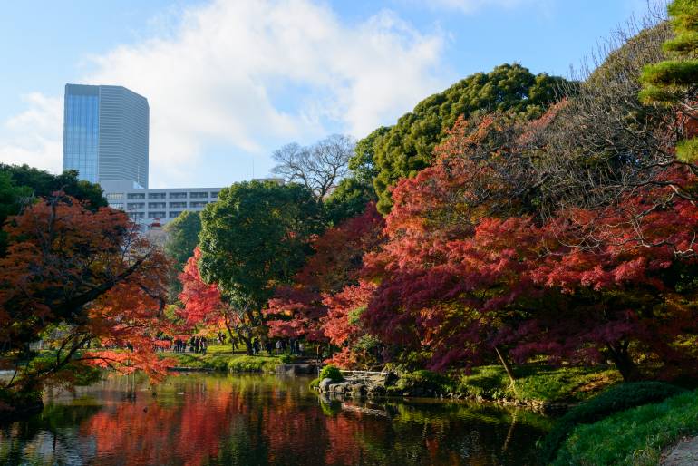 Koishikawa Korakuen Garden in Autumn