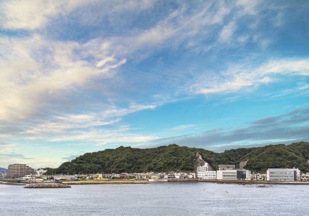 Tetrapods in front of the Kurihama port with the Tokyo wan-ferry terminal and the Kurihama Flower park on the Miura peninsula in background.