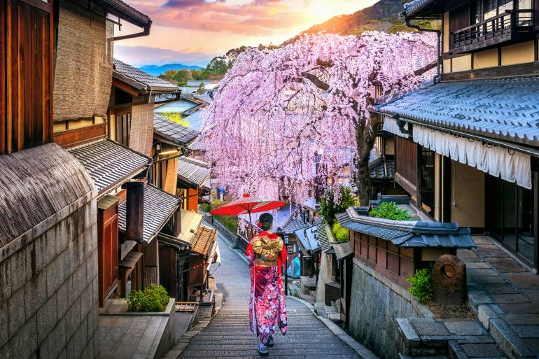 Kyoto view