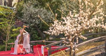 plum festival tokyo