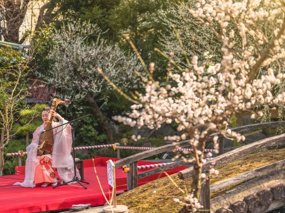 plum festival tokyo