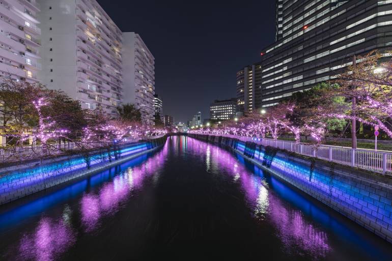 meguro river