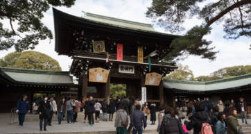 Meiji Jingu Shrine Tokyo Hatsumode New Year Visit