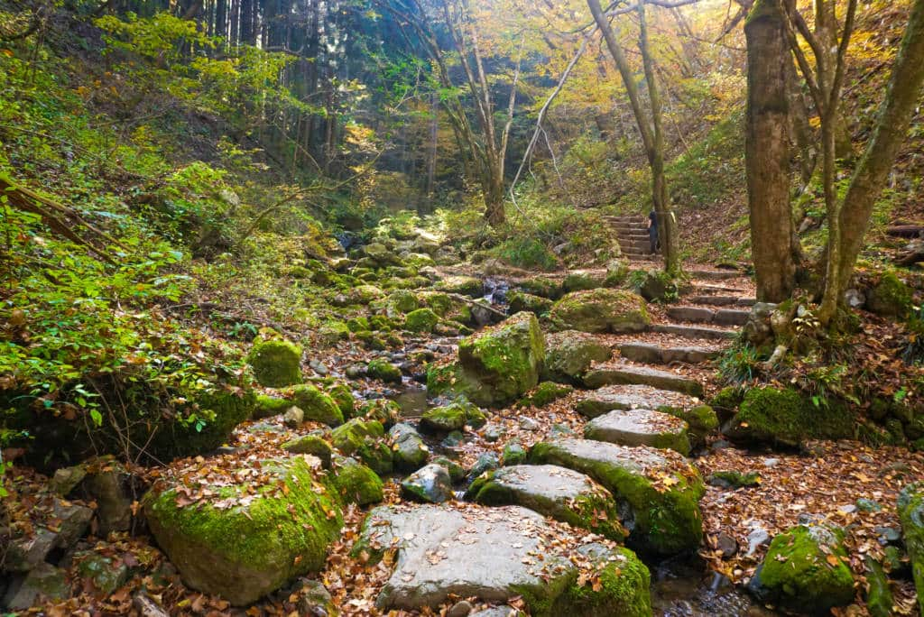 mt. mitake hiking trail