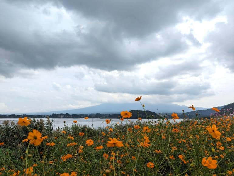 Mt Fuji is hidden behind cloudy on an overcast day