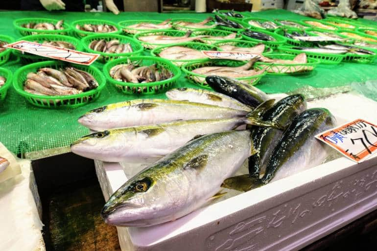 Omicho Market Fish Kanazawa