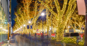 Omotesando Winter Illuminations