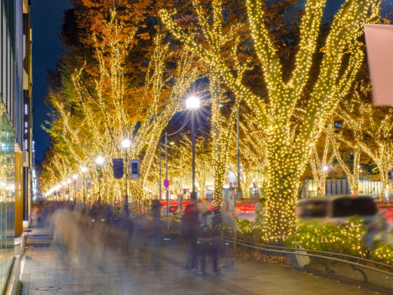 Omotesando Winter Illuminations