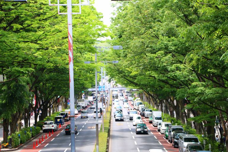 Omotesando Street 