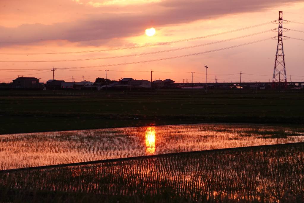 Power lines at sunset