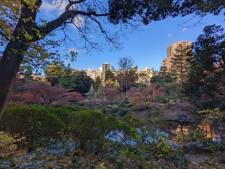 garden in waseda