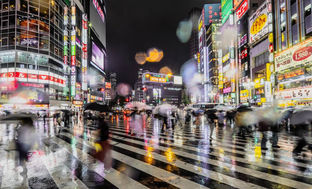 rainy Shinjuku night