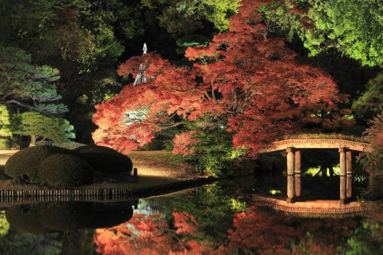 Japanese garden in the night.