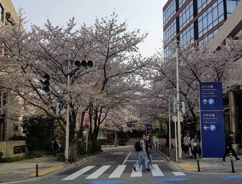 Roppongi Sakurazaka