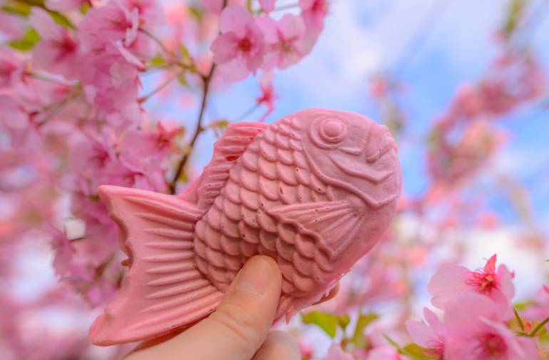 sakura taiyaki