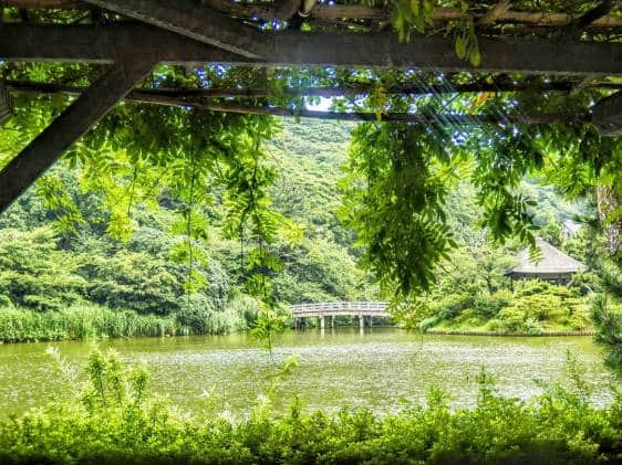 Sankeien Garden, Yokohama