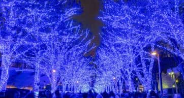 Tokyo winter guide - illumination festival