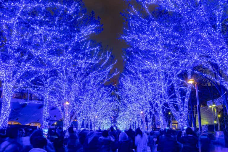 Tokyo winter guide - illumination festival