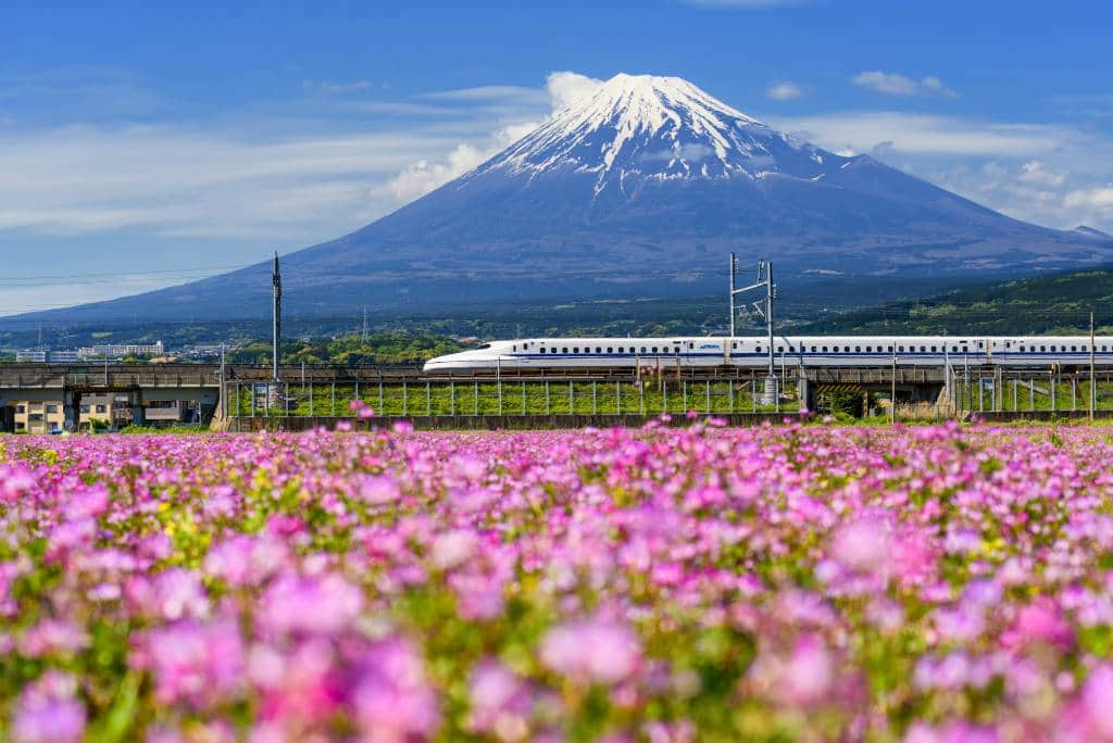 Shinkansen bullet train pass Mountain fuji