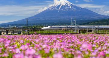 Shinkansen bullet train pass Mountain fuji