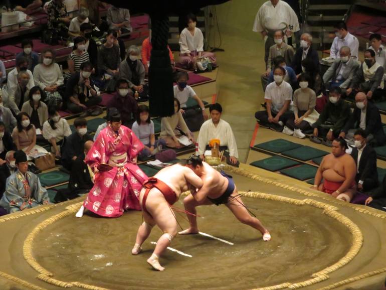 sumo