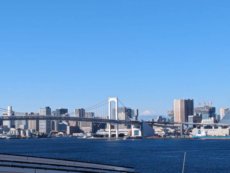 Tall buildings makes up the Tokyo skyline, Rainbow Bridge and Mt Fuji can also be seen.