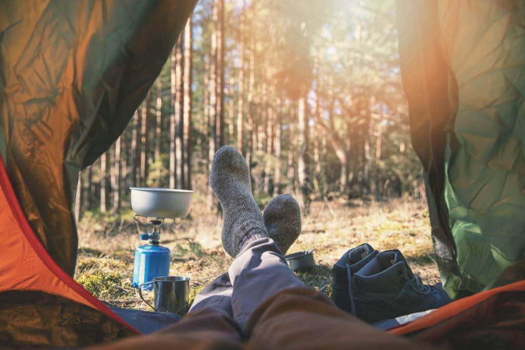 outdoor view of forest from inside tent