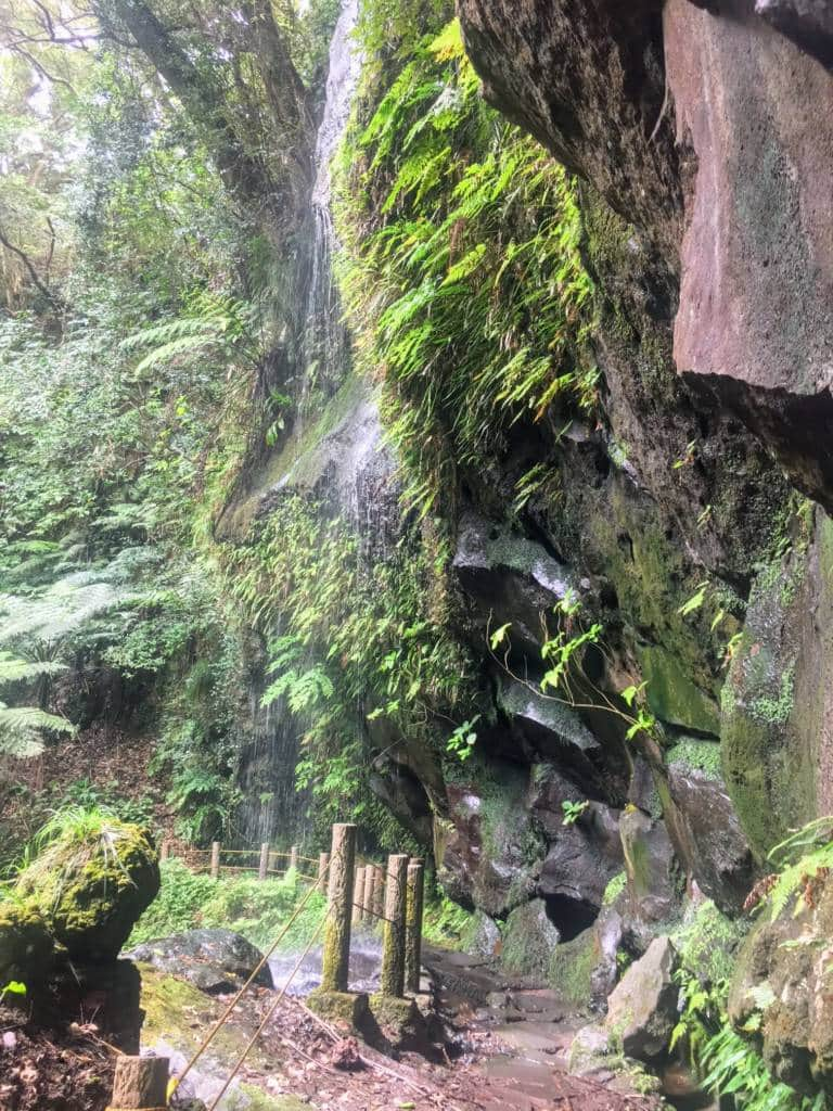 Hachijojima waterfall