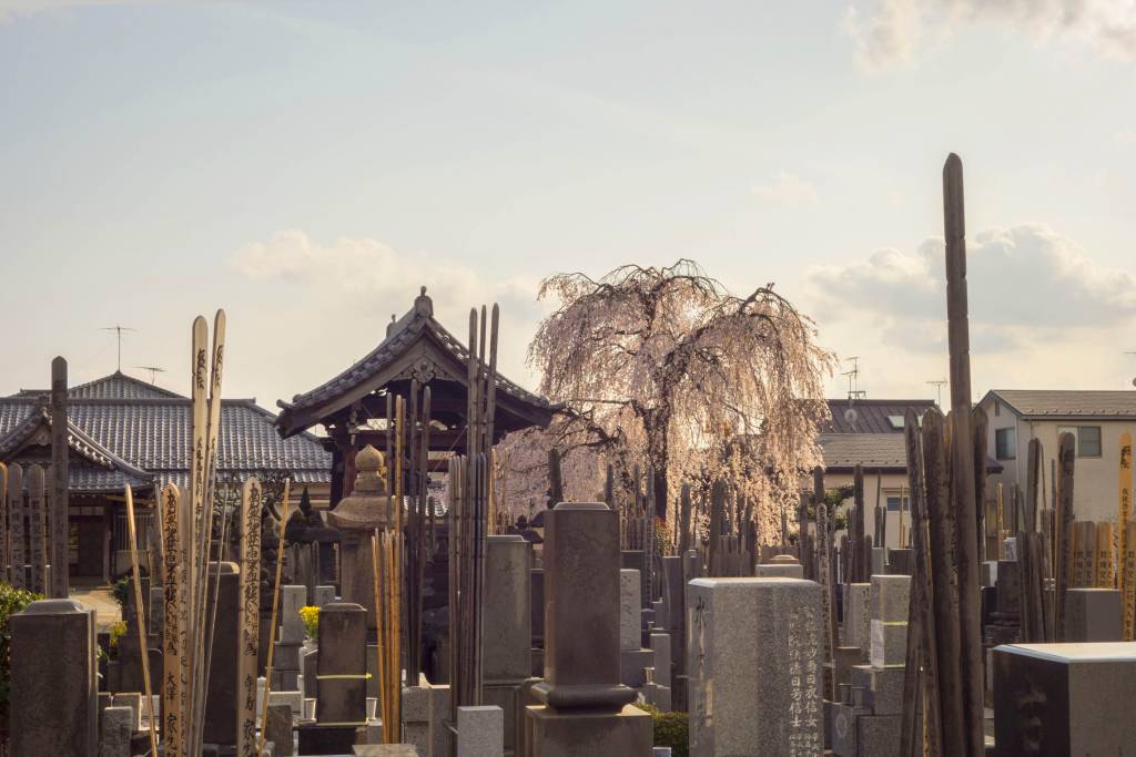 Yanaka Cemetery