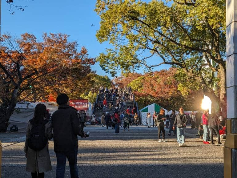 yoyogi park in autumn and events