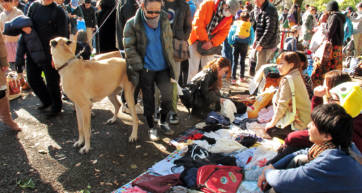 Flea Market at Yoyogi Park in Harajuku Tokyo Japan