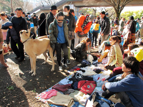 Flea Market at Yoyogi Park in Harajuku Tokyo Japan