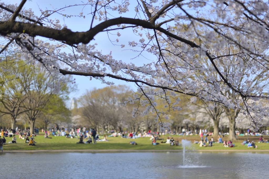 picnic spots in tokyo